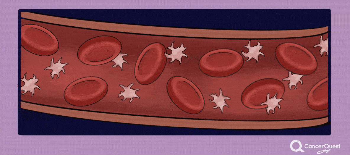 Efectos secundarios del tratamiento del cáncer CancerQuest